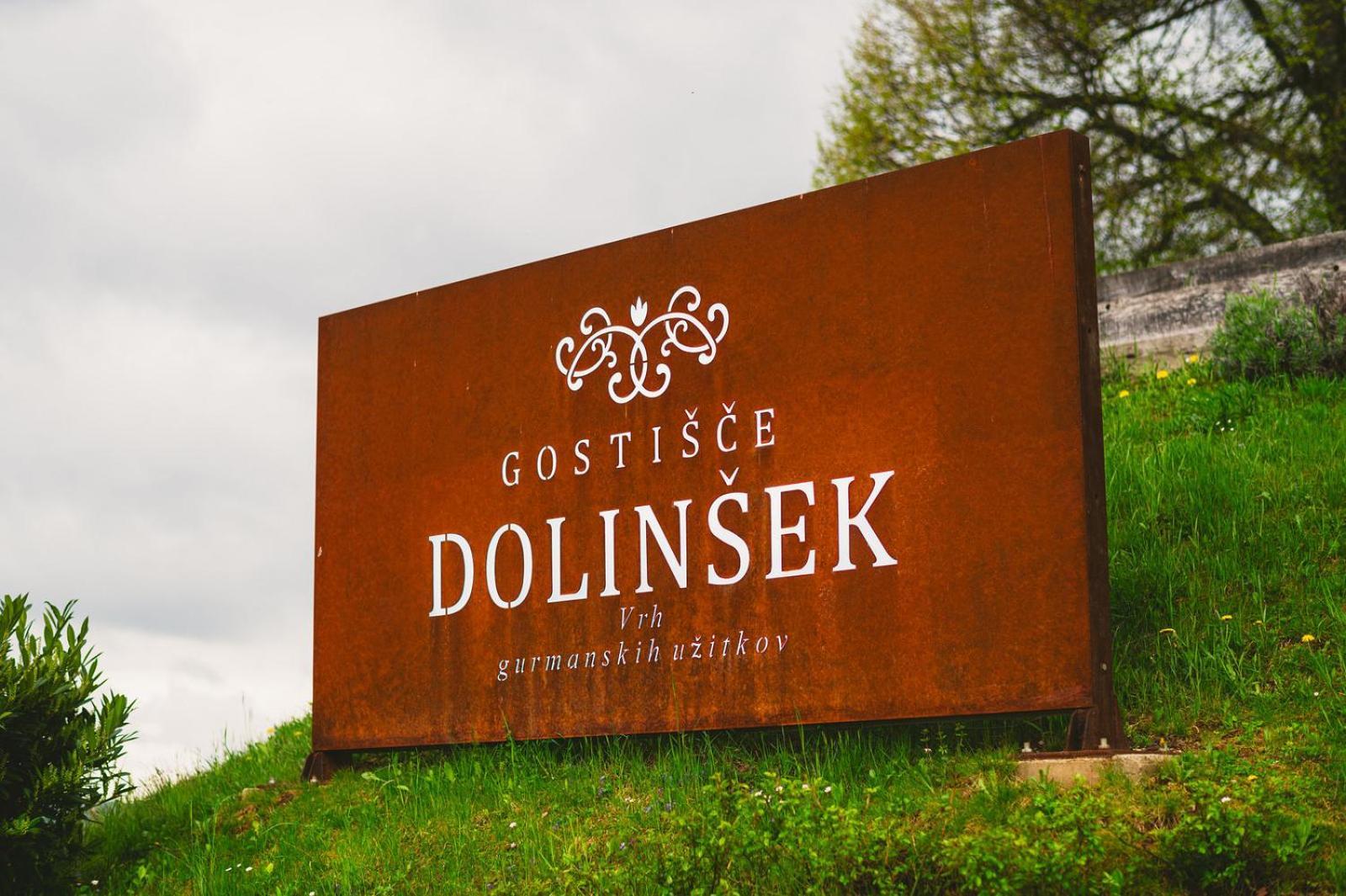 Guesthouse Dolinsek Sevnica Экстерьер фото